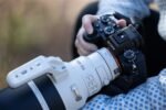 Objetivo zoom Sony Pro FE 100-400mm f/4.5 en blanco y negro para montura E. - Imagen 5